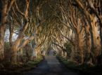 Irish government could be cutting down famous Game of Thrones Dark Hedges