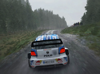Dirt Rally on PS4 & Xbox One